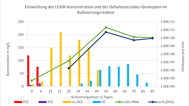 Diagramm des mikrobiellen Wachstums und Schadstoffabbau
