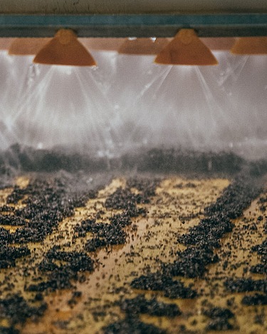 Hochdruckbedüsung von belastetem Boden